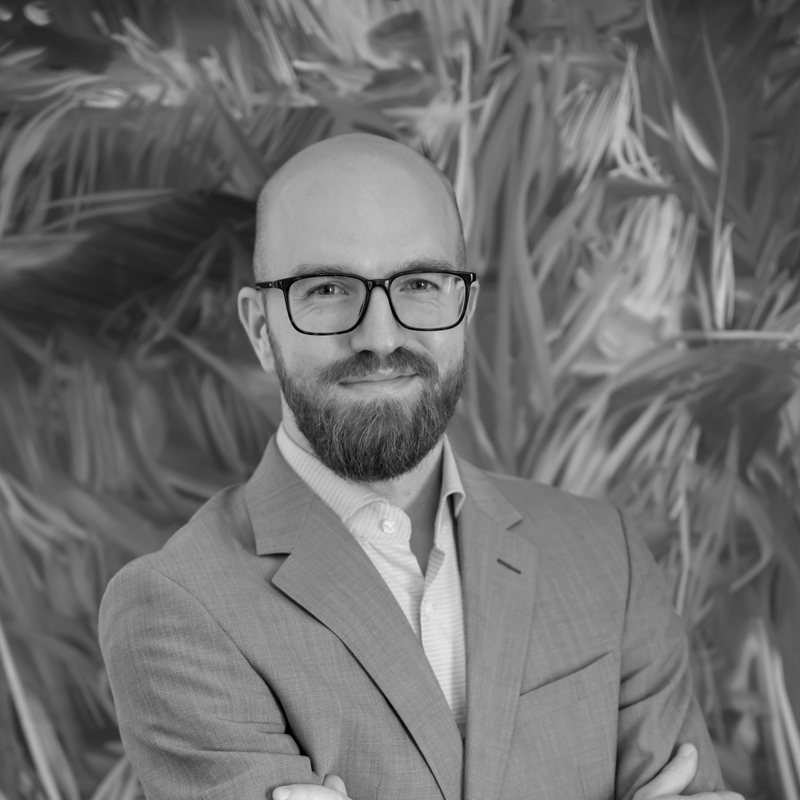 Porträt von David Beran