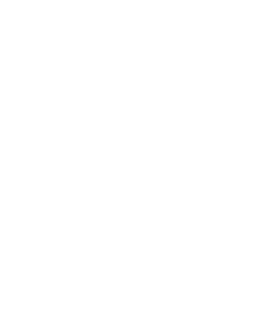 SK Rapid Wien